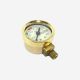 Elektra Pressure Gauge Gold 00398035