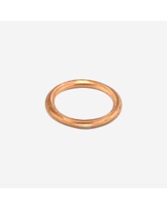 Elektra Gasket For Temperature Probe 03203035