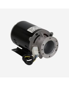 Faema Pump 220/50 Horiz. Motor UL 530299600