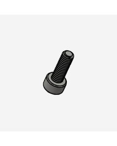 Slayer Screw, Socket Head Cap 44005-10090